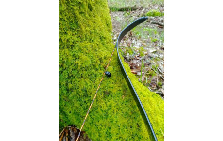 CD 56 Nature Quéven